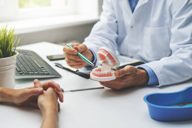 Best Dental Exams and Cleanings  in Altamonte Springs, FL